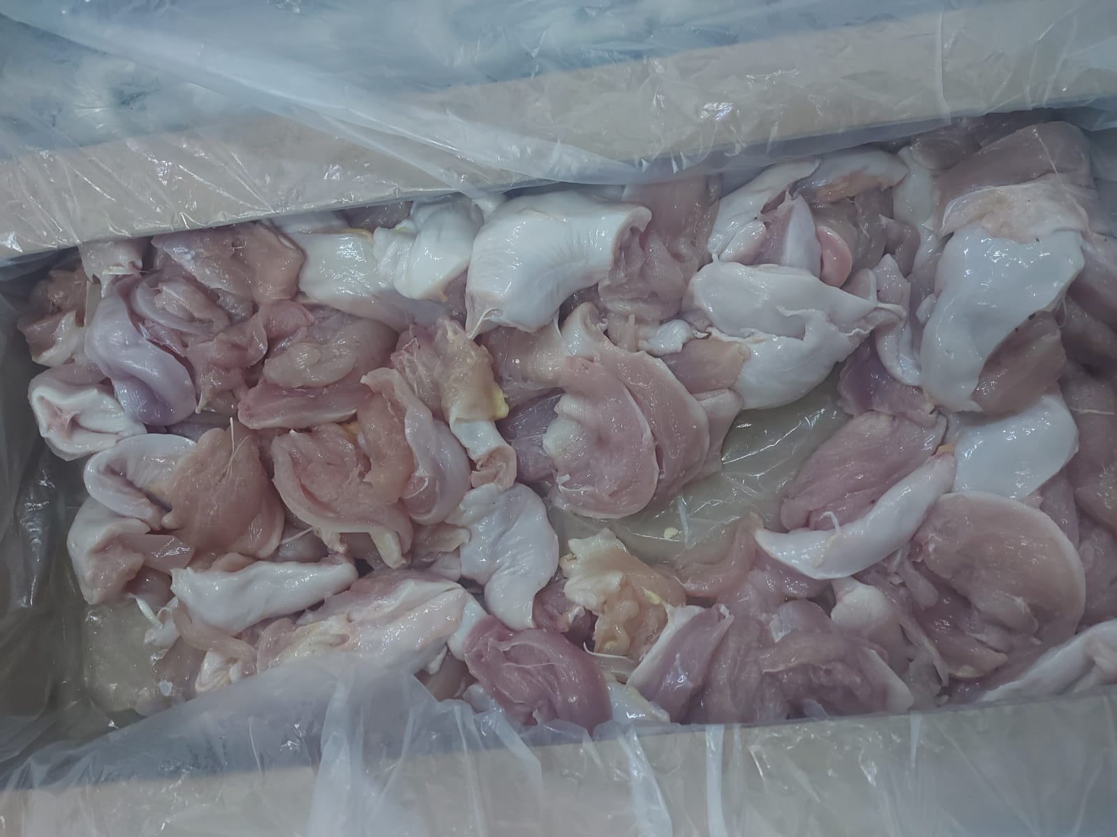 Frozen Light Hen Breast  