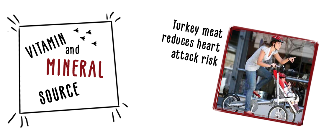 Vitamin ve mineral kaynağı hindi eti