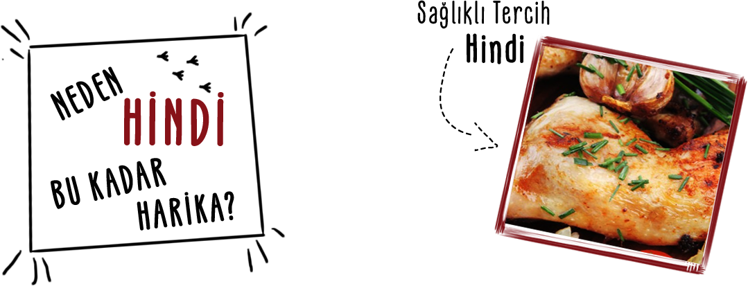 Neden Hindiyi Tercih Etmeliyiz?