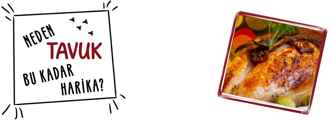 Neden Piliç Tercih Etmeliyiz?