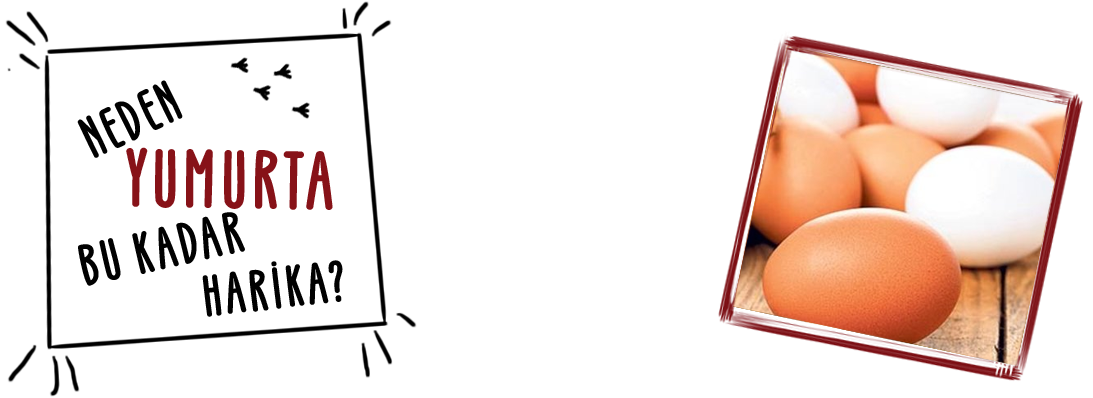 Neden Hindiyi Tercih Etmeliyiz?