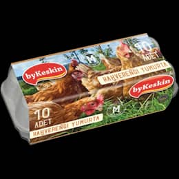 KAHVERENGİ YUMURTA