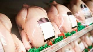 Consume Packaged Chicken Meat for Health