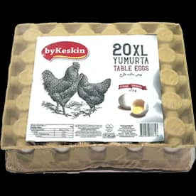 20'Lİ XL YUMURTA