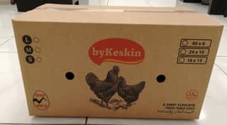 ORGANİK YUMURTA