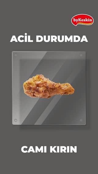 Frozen Ready Fried Chicken