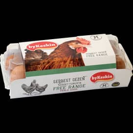 SERBEST GEZEN YUMURTA
